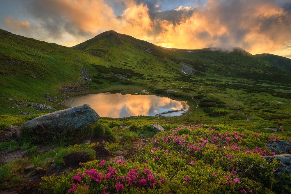 Гроза рождает чудные мгновенья