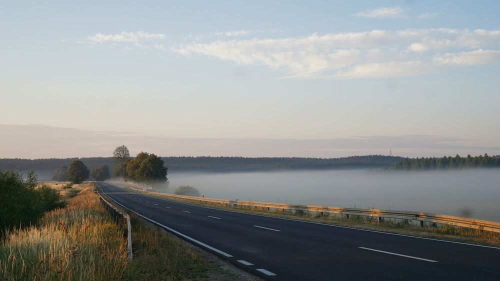 Mist in Summer