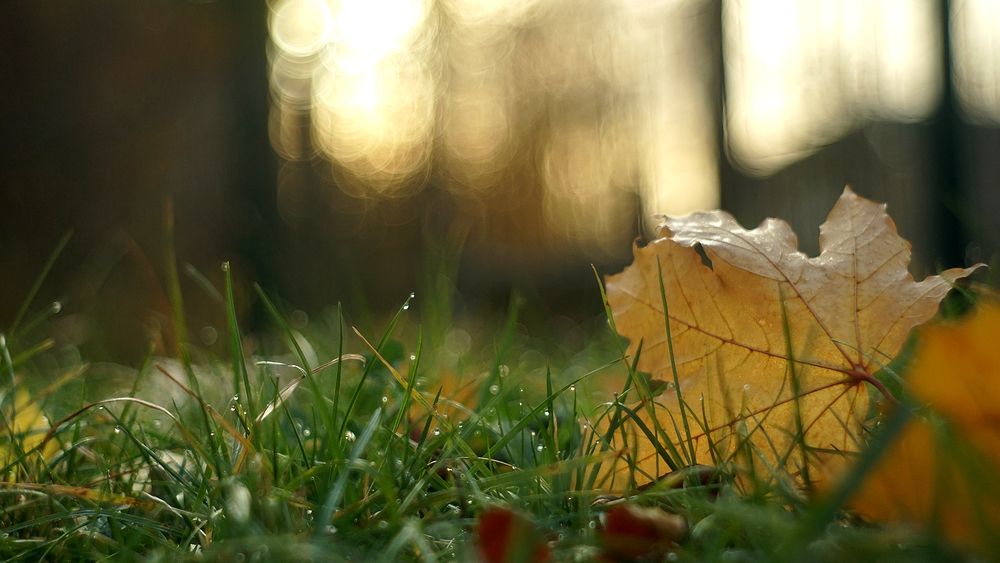 Photograph by Dzianis Mizhui