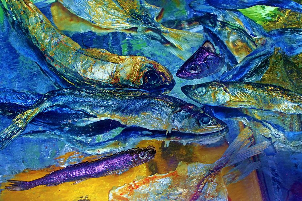 Сны о море в рыбной лавке