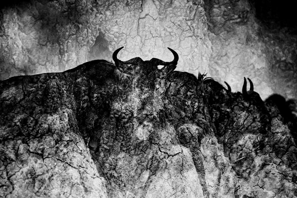 Наскальная живопись