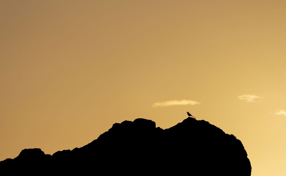 I know I'm not alone