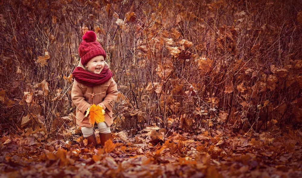 Золотая осень