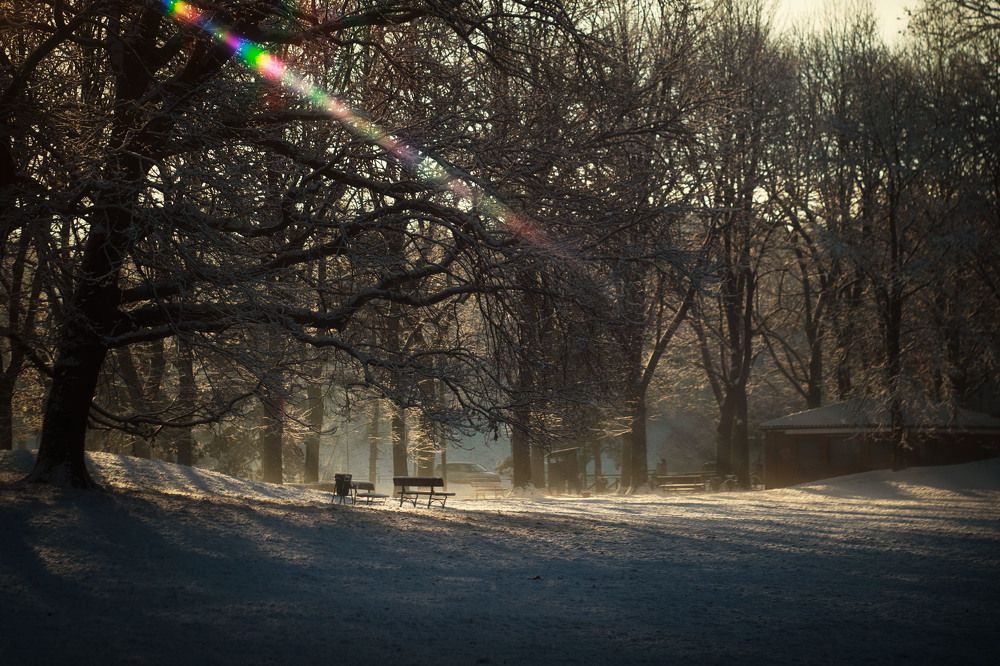 Утро на лавочке...