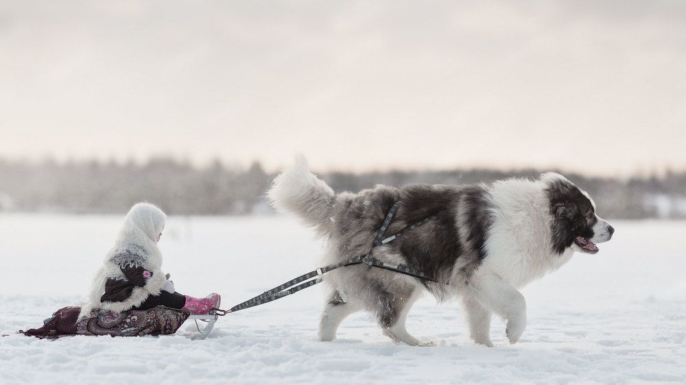 Photograph by Андрей Селиверстов