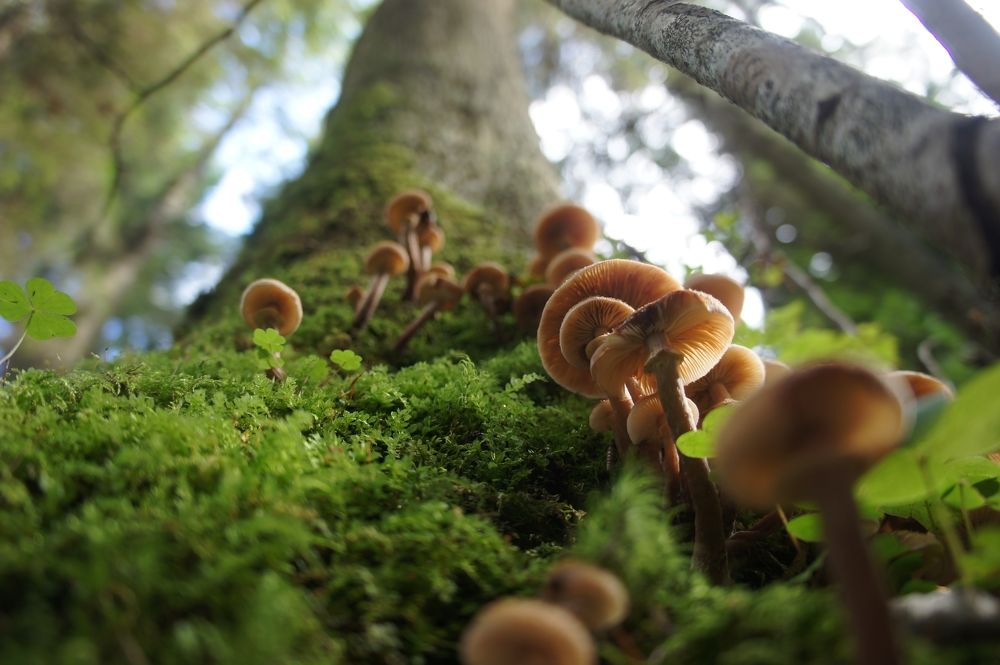 Photograph by Владимир