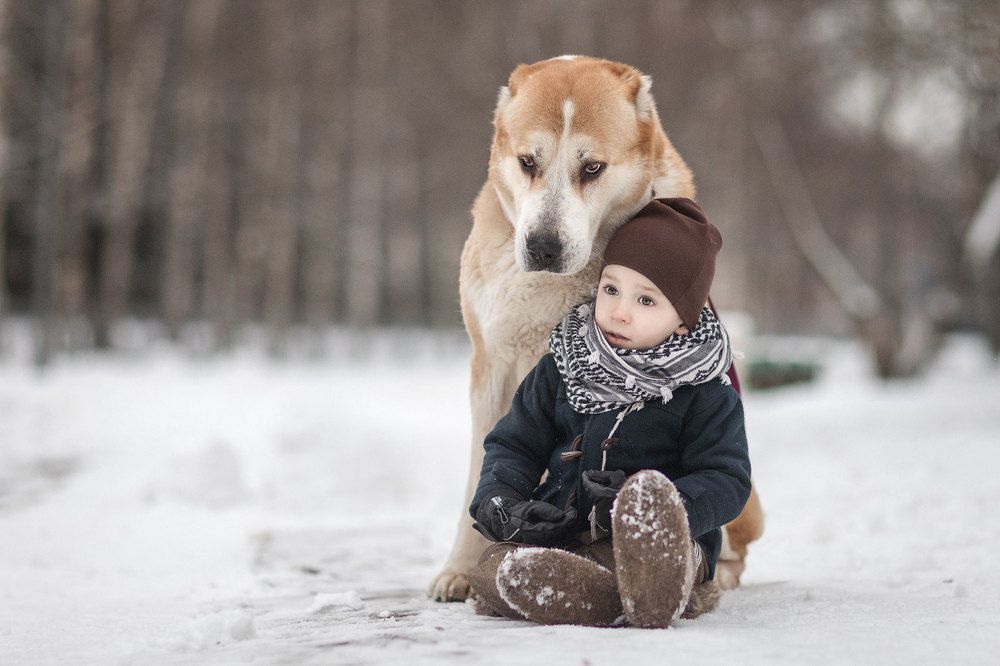 Photograph by Андрей Селиверстов