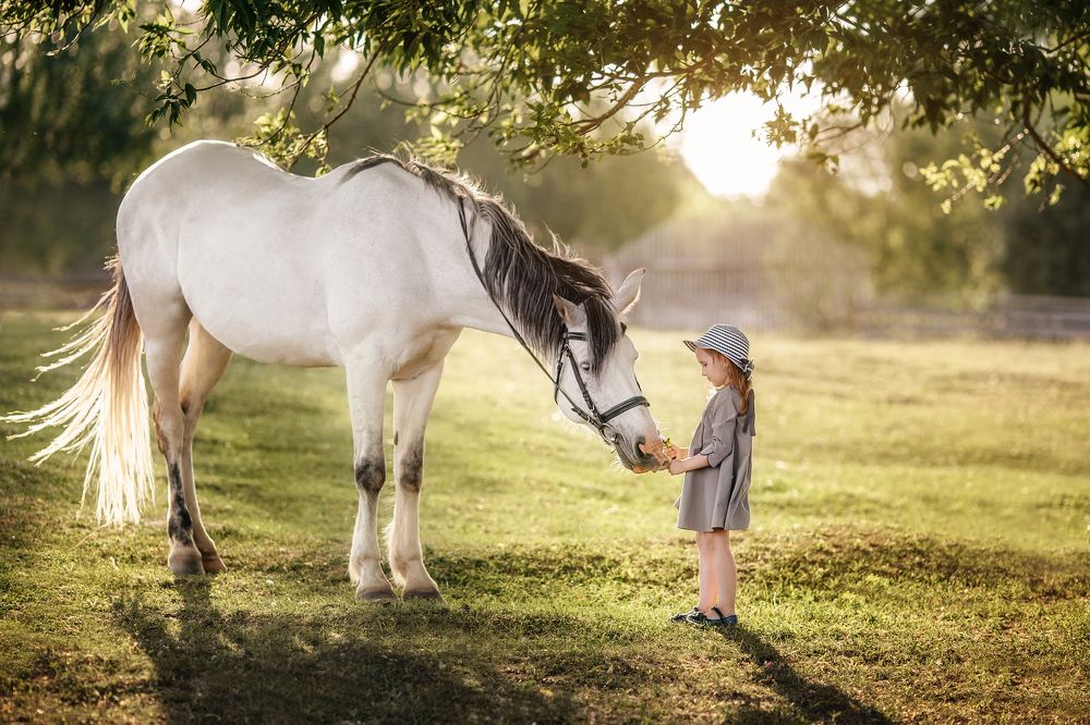 Photograph by Хижнякова Александра