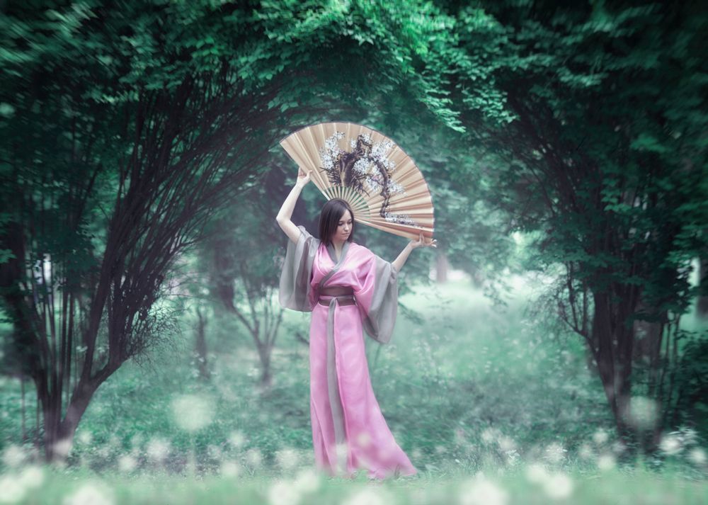 Вдохновение Японией