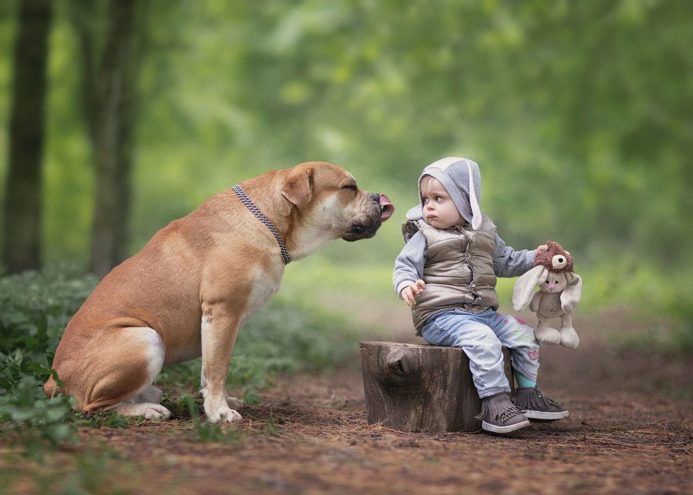 Photograph by Андрей Селиверстов