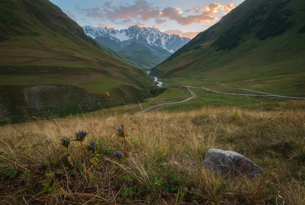 Случайные путники