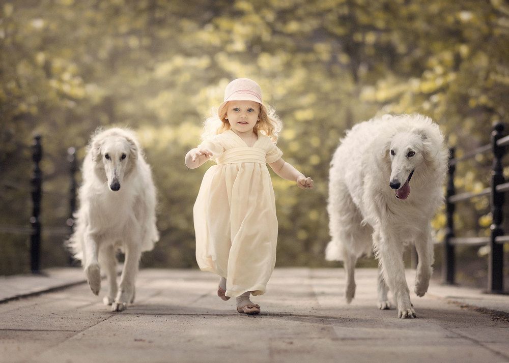 Photograph by Андрей Селиверстов