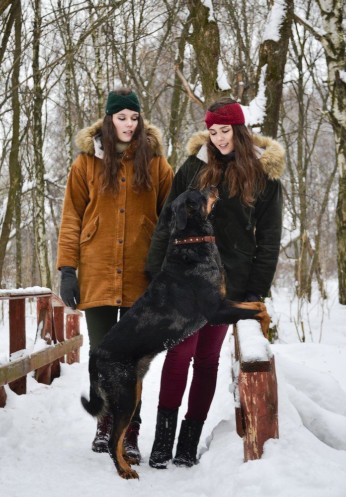 Преданный взгляд