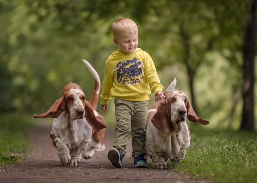 Photograph by Андрей Селиверстов