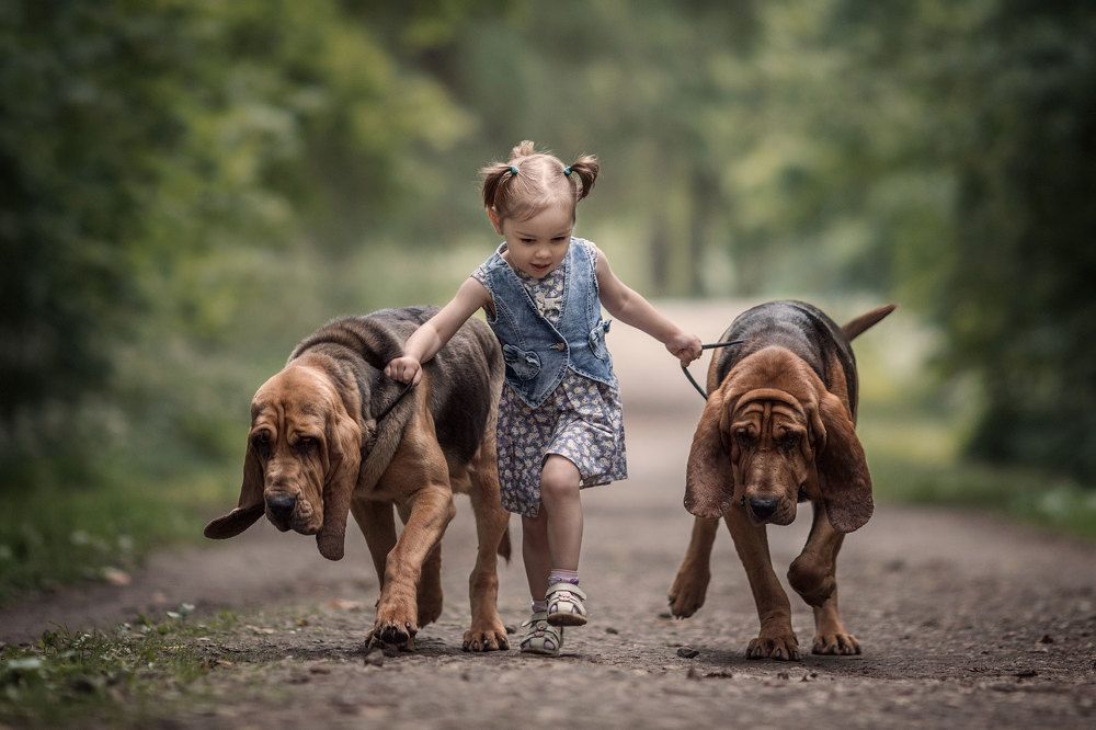 Photograph by Андрей Селиверстов