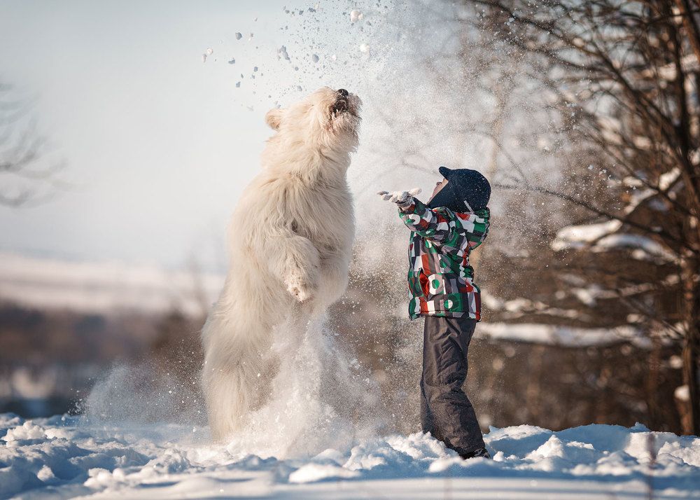 Photograph by Андрей Селиверстов