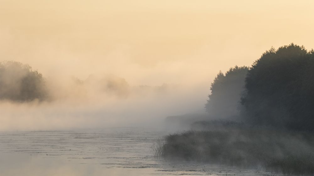 Photograph by Сергей Алексеев