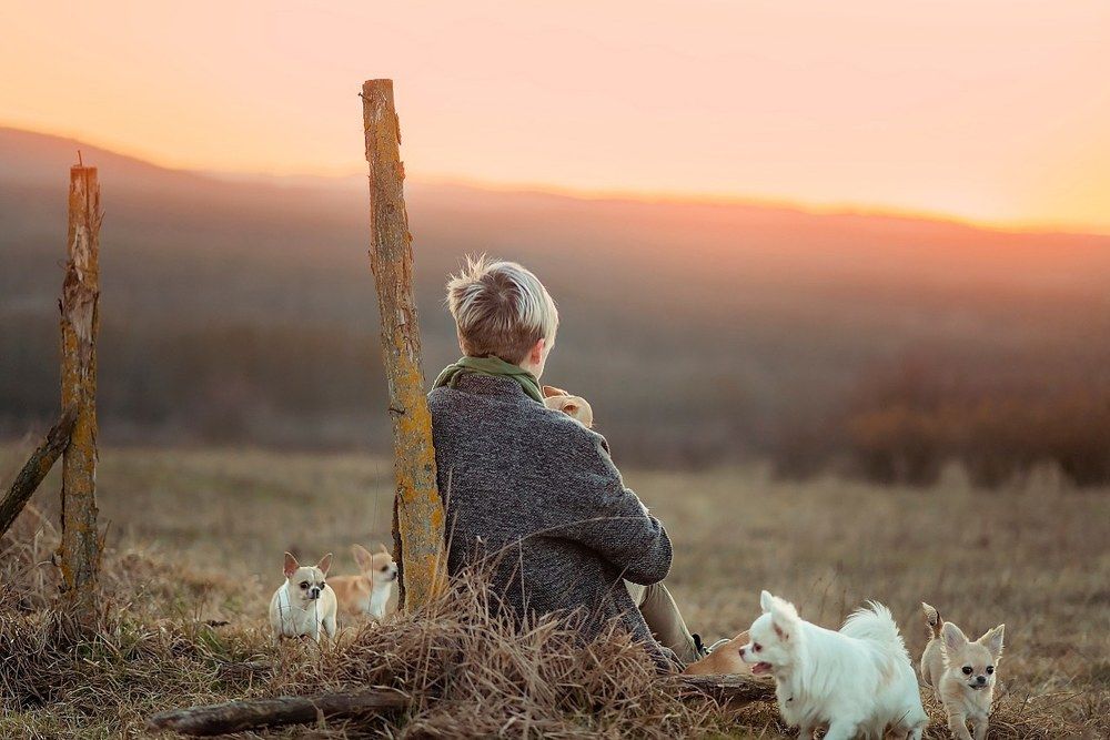 Взгляд на красивую природу.