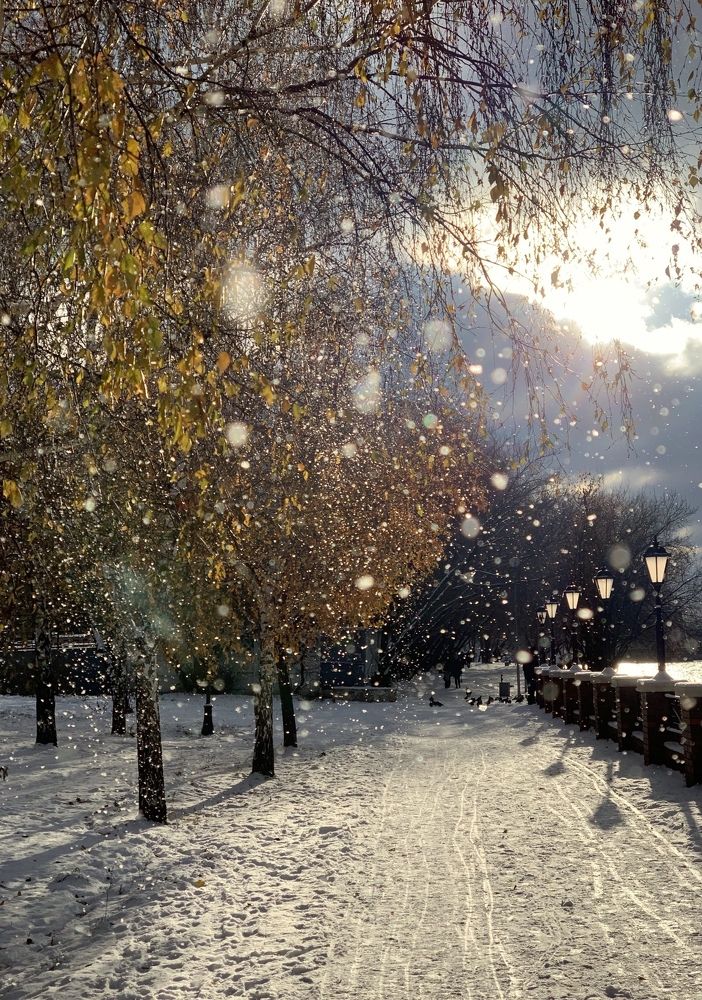 Начало зимы