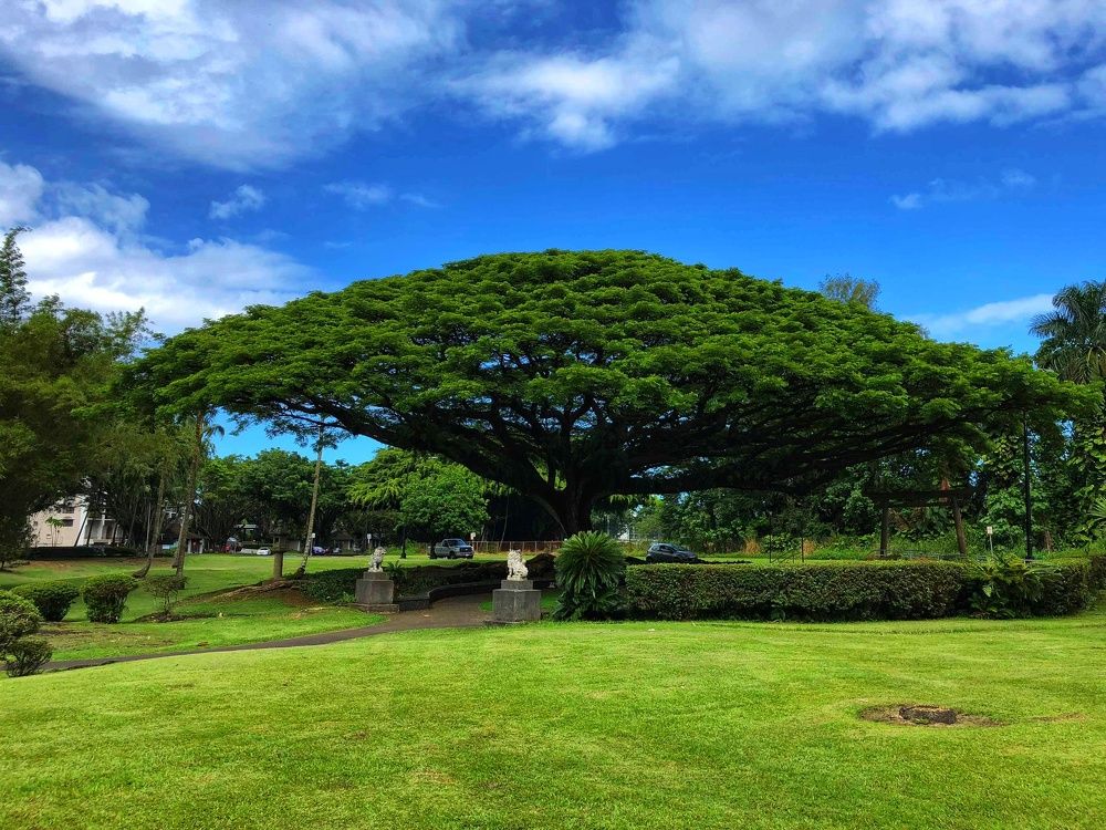 Photograph by Aleksandra Kalinovic