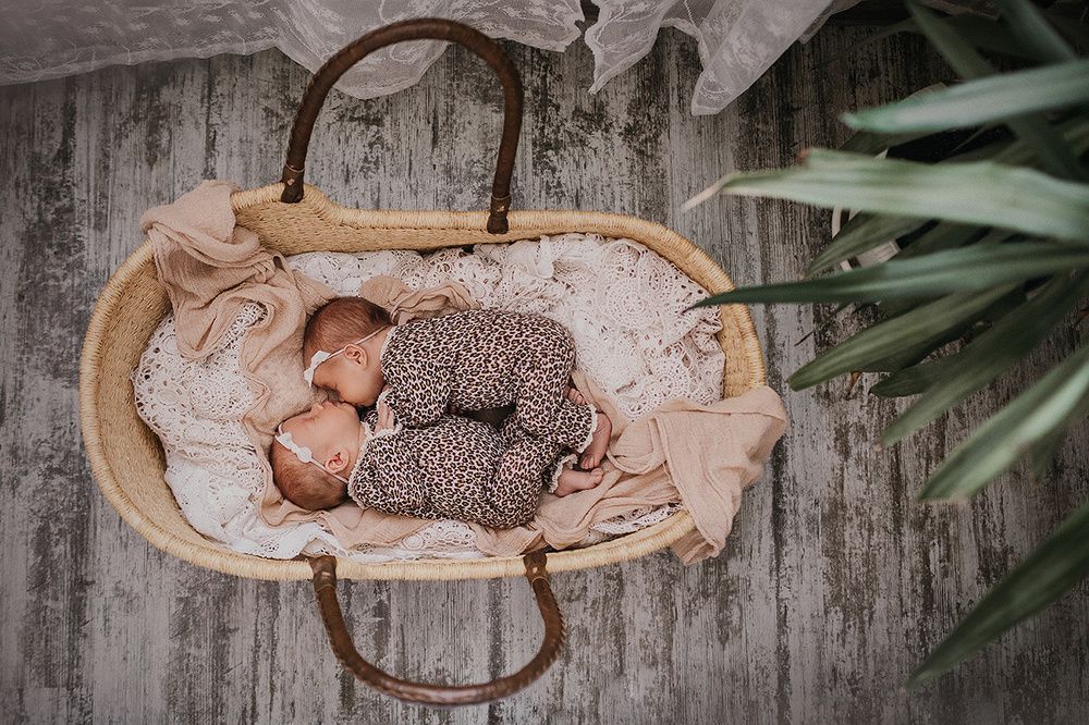 Королевская двойня