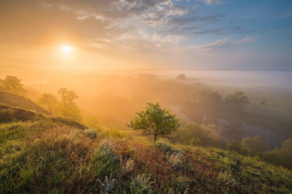 Туманы словно рукава реки