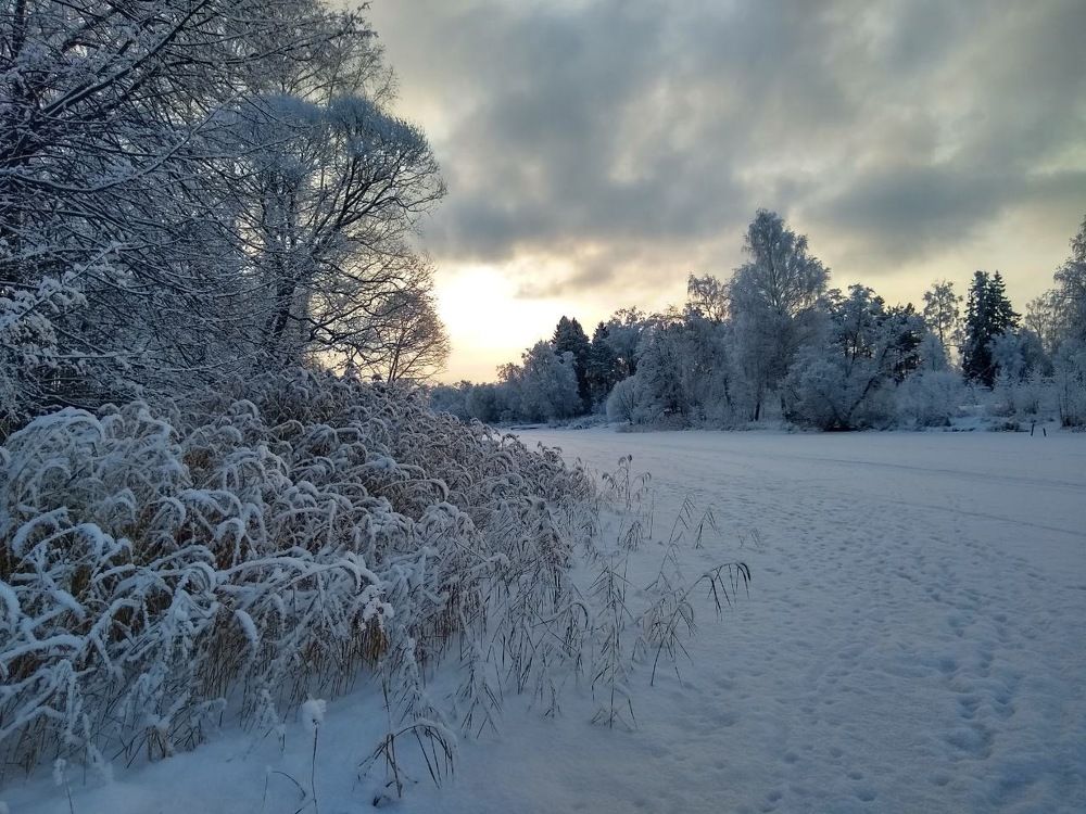 Зима за городом