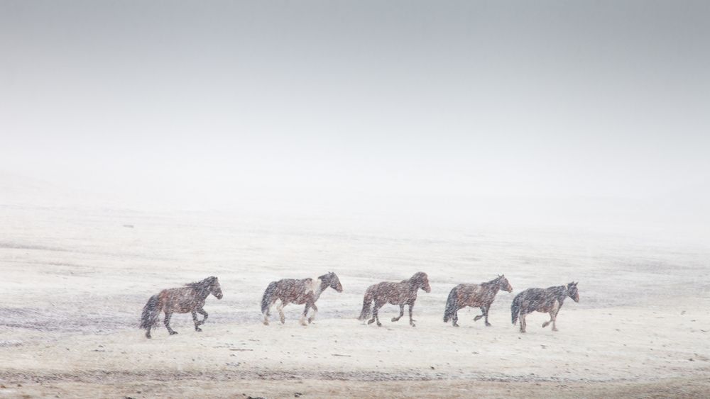 Белый космос