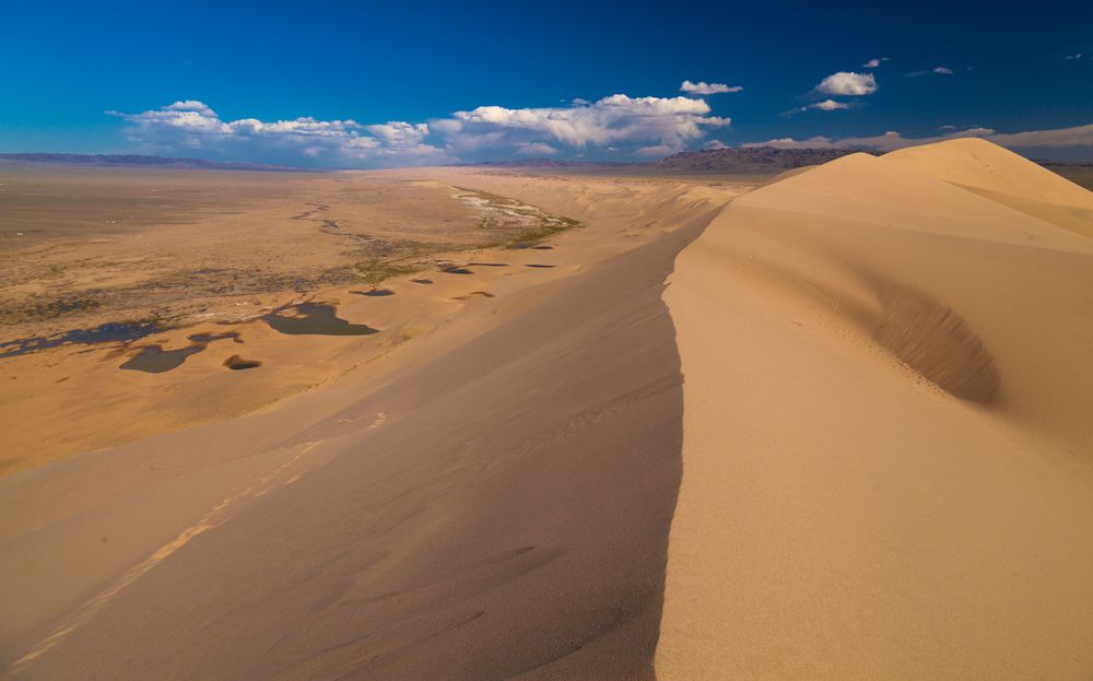 Оазис в пустыне