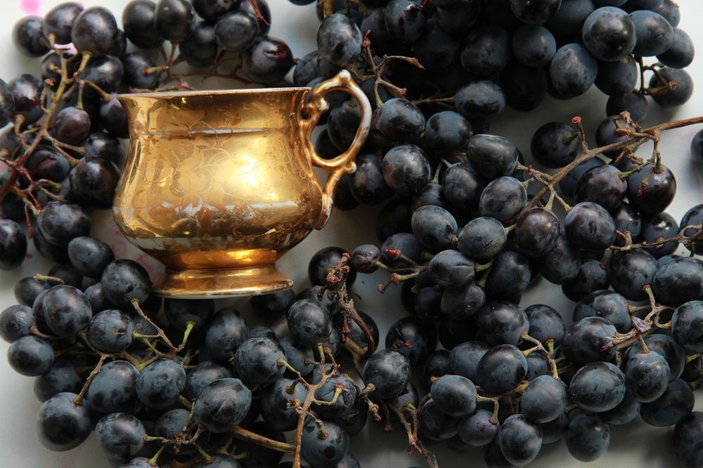 Photograph by Алена Родионова