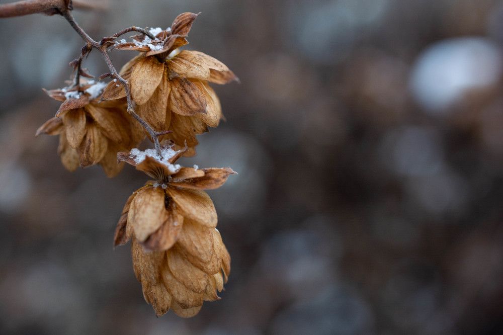 Photograph by Мария