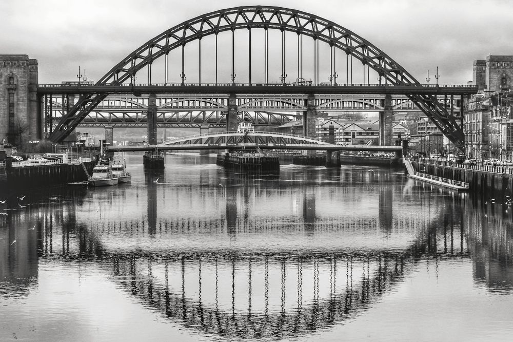 Photograph by Элис