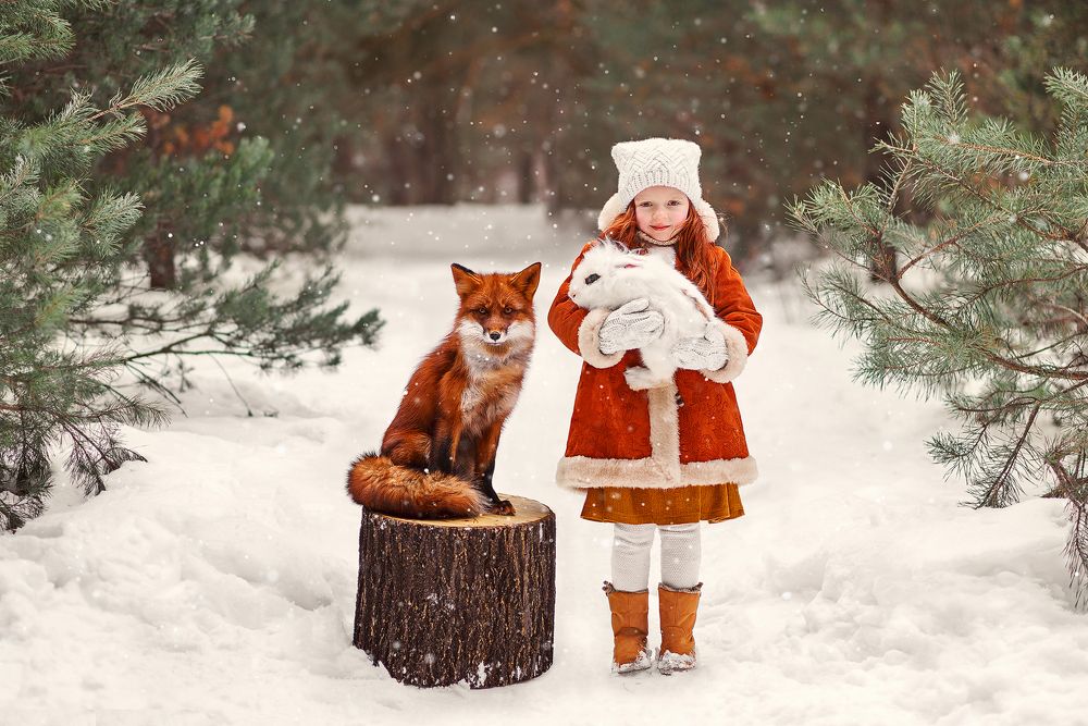 Meeting in the winter forest