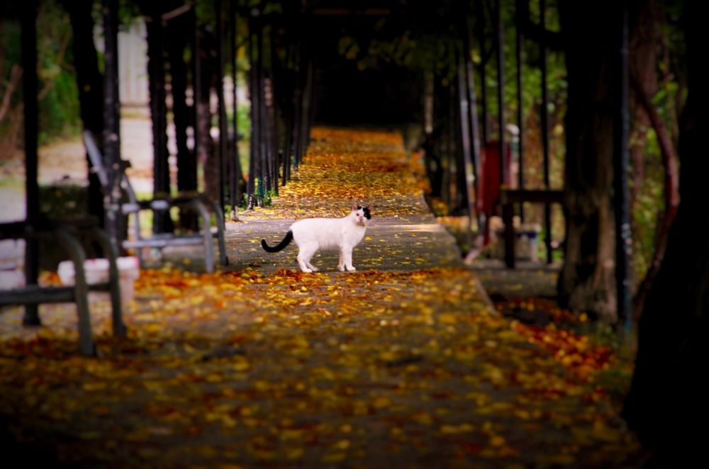 Photograph by Erkut Tulgar