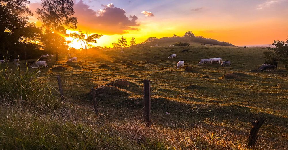 The World Where We Live.