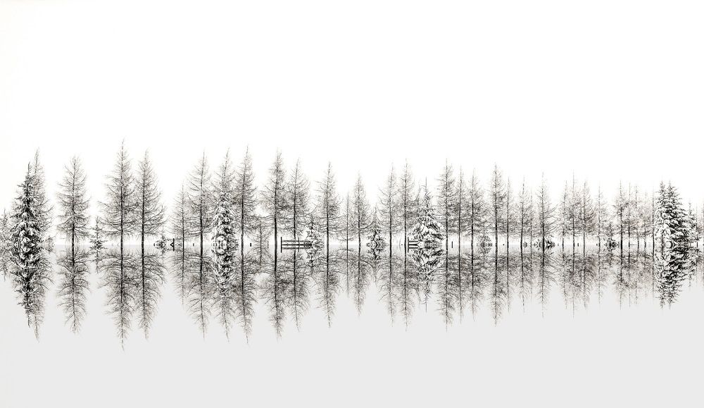 Photograph by Marian Badaluta