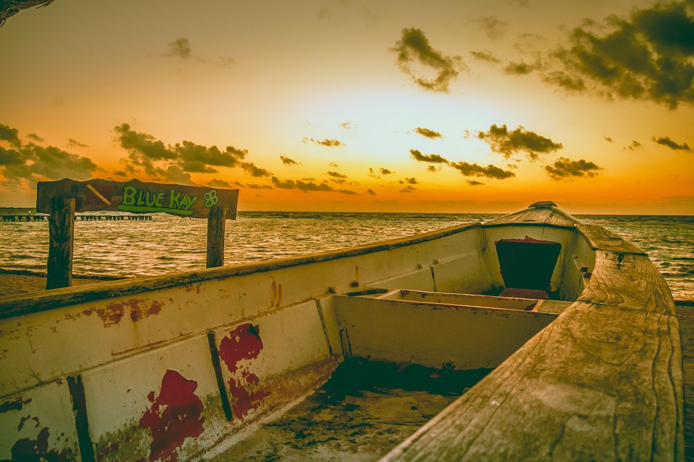 Todo en ti fue naufragio