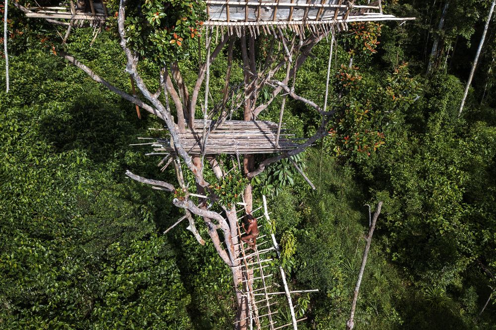 Дом на дереве