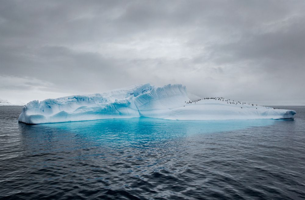 Photograph by Елена Сильницкая