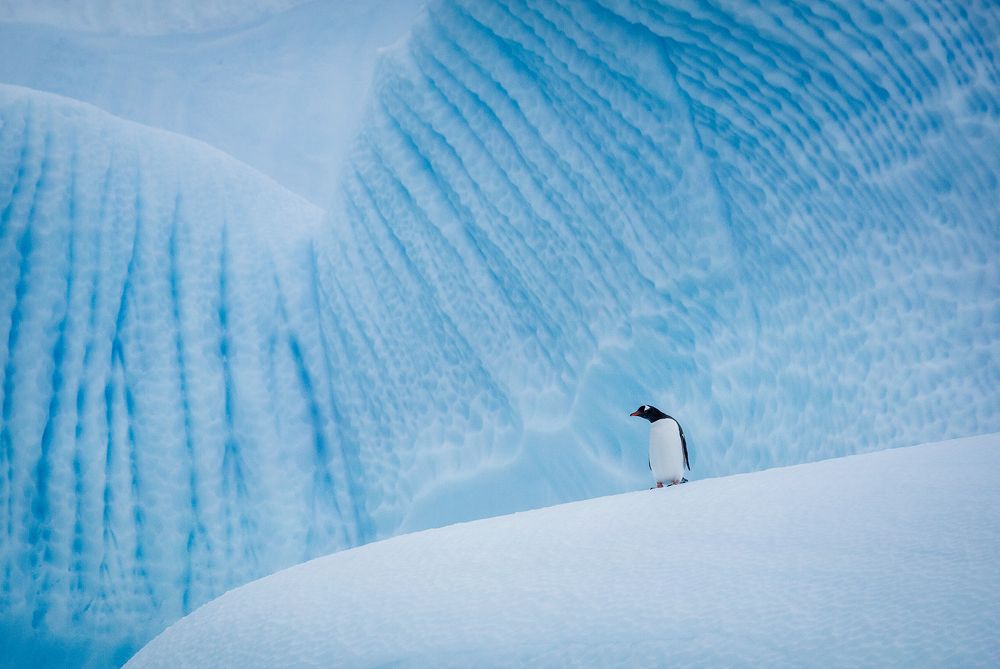 Photograph by Елена Сильницкая