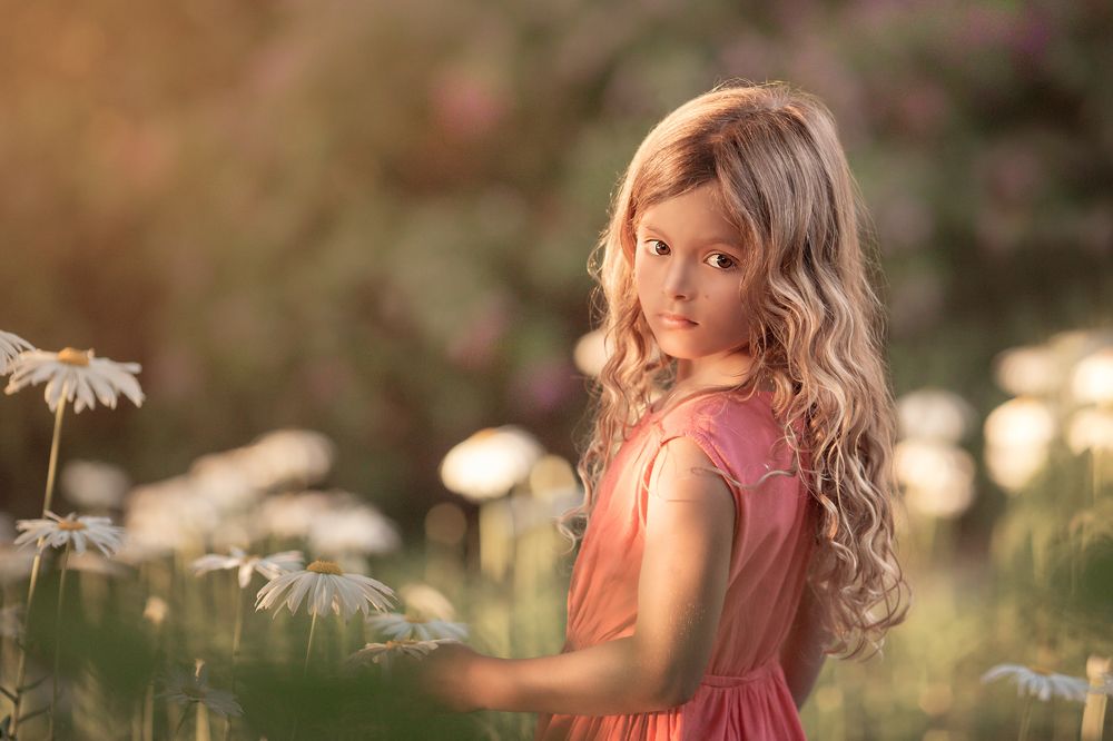 Sunset at the garden