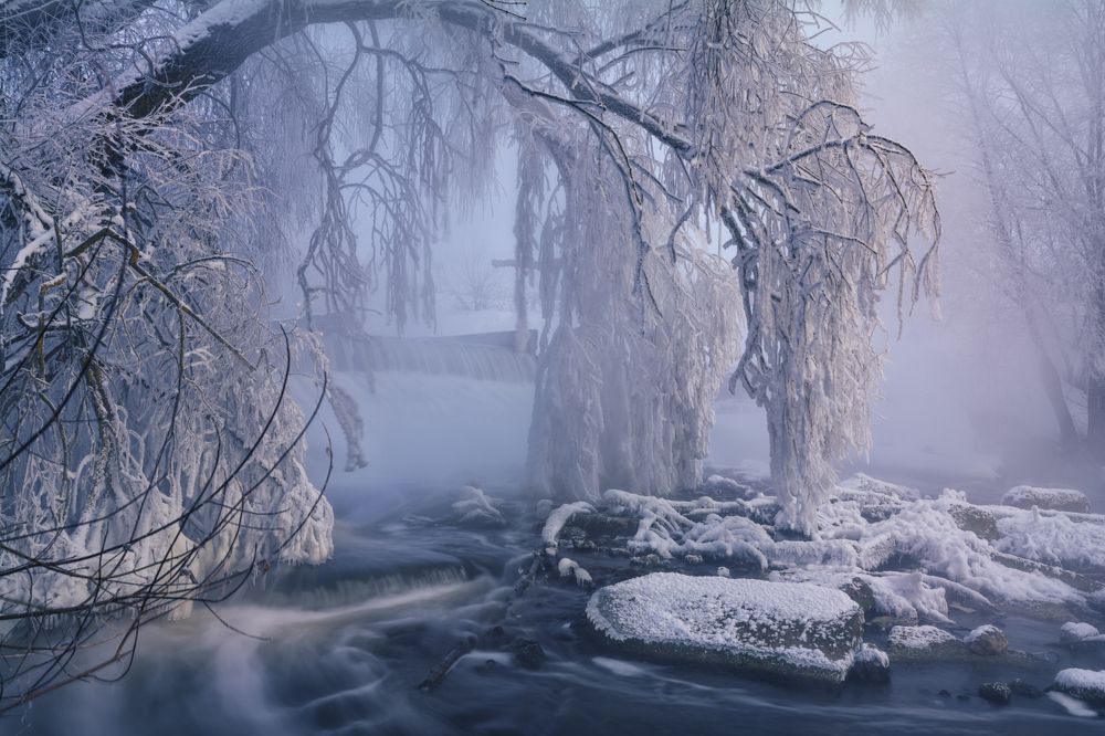 Морозным утром