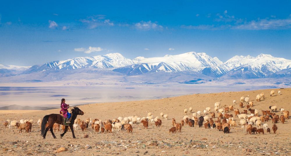 Дух свободы