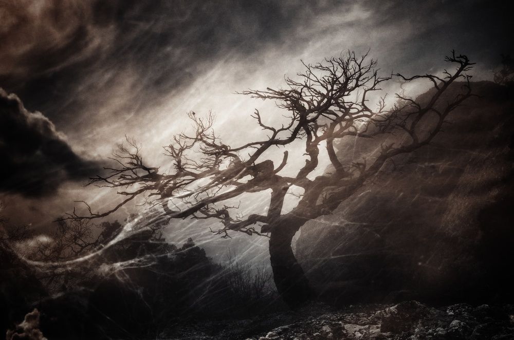 Проклятый остров