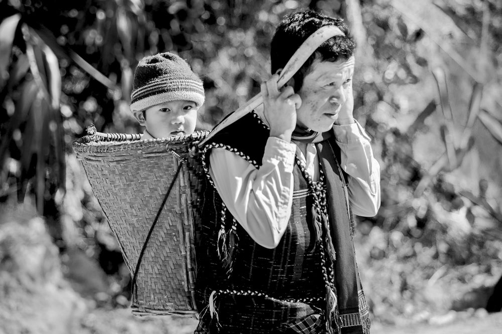 Boy siting inside the basket