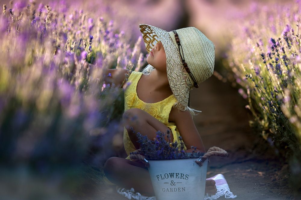 Photograph by Таня Барбарис