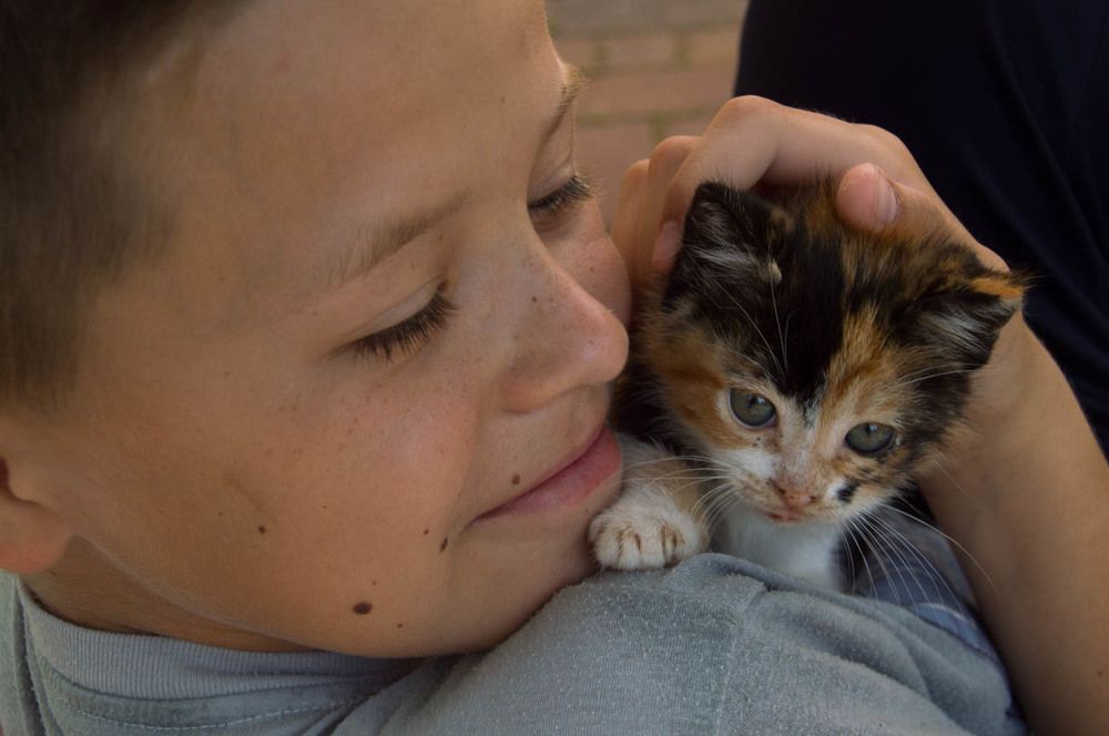 Олесь с Пеструшкой