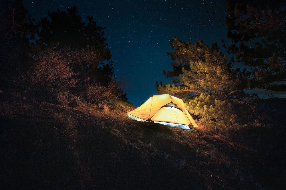 Звездные сны