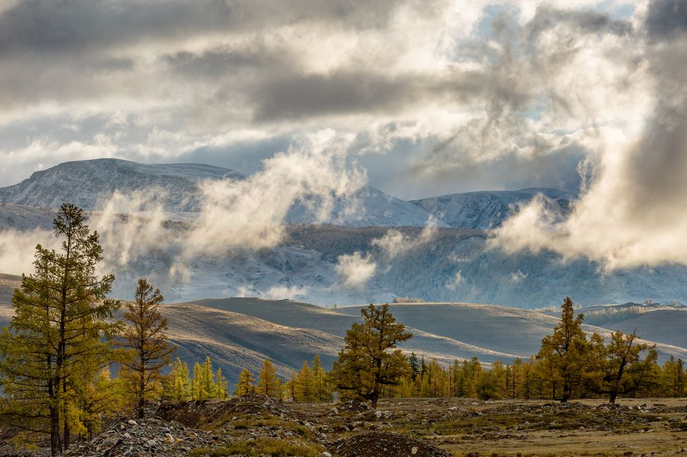 Вечер в Курайской степи