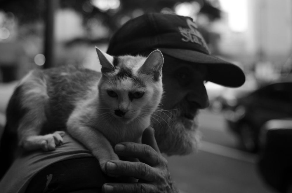 Homeless man and his companion